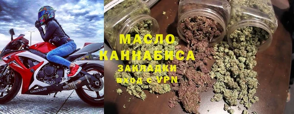 гидра Богородицк