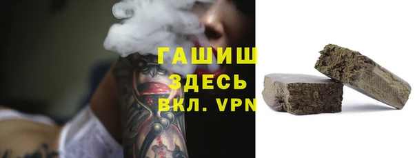 гидра Богородицк