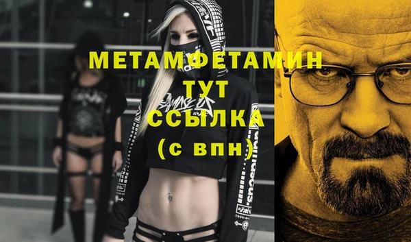 гидра Богородицк