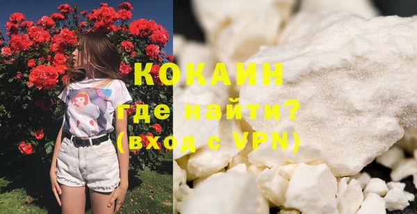 гидра Богородицк