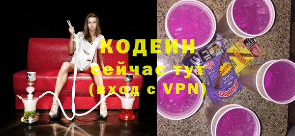 гидра Богородицк