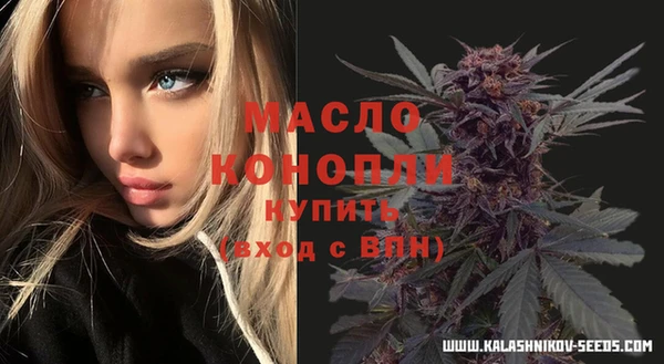 гидра Богородицк
