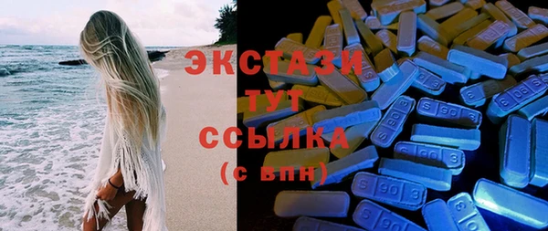 гидра Богородицк