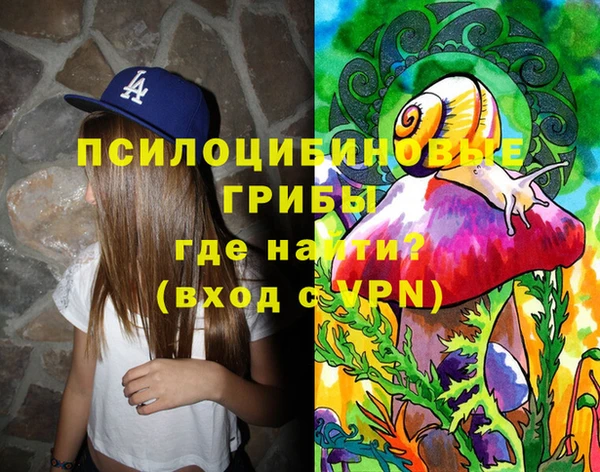 круглые Богородск