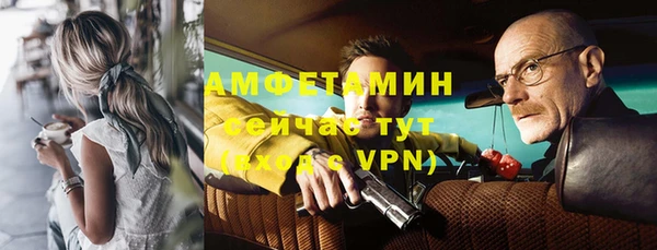 гидра Богородицк