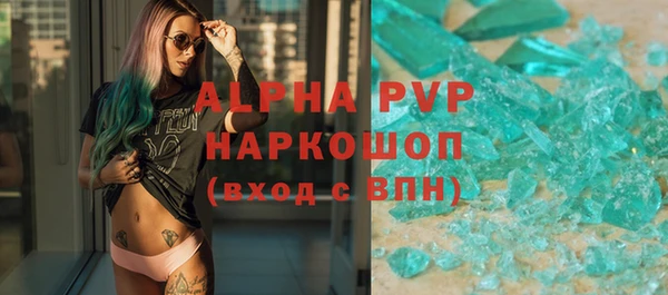 гидра Богородицк