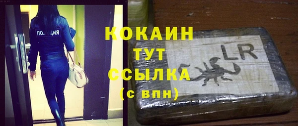 гидра Богородицк