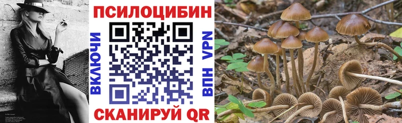 даркнет наркотические препараты  ссылка на мегу зеркало  Мценск  Псилоцибиновые грибы GOLDEN TEACHER 