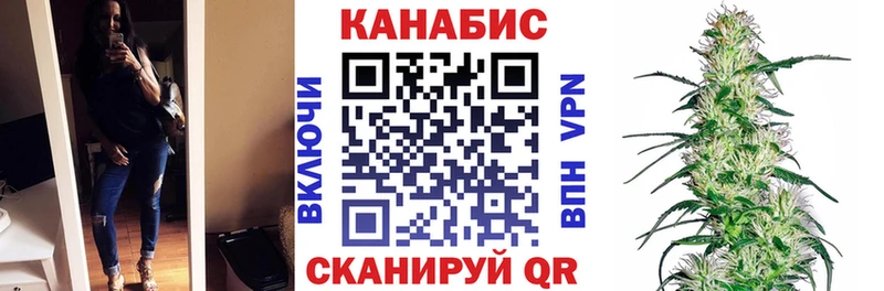 как найти наркотики  ОМГ ОМГ   Конопля сатива  Мценск 